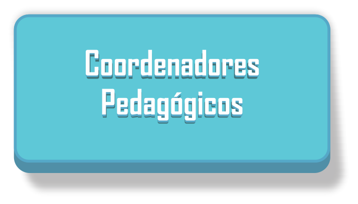 coordenadores pedagógicos.