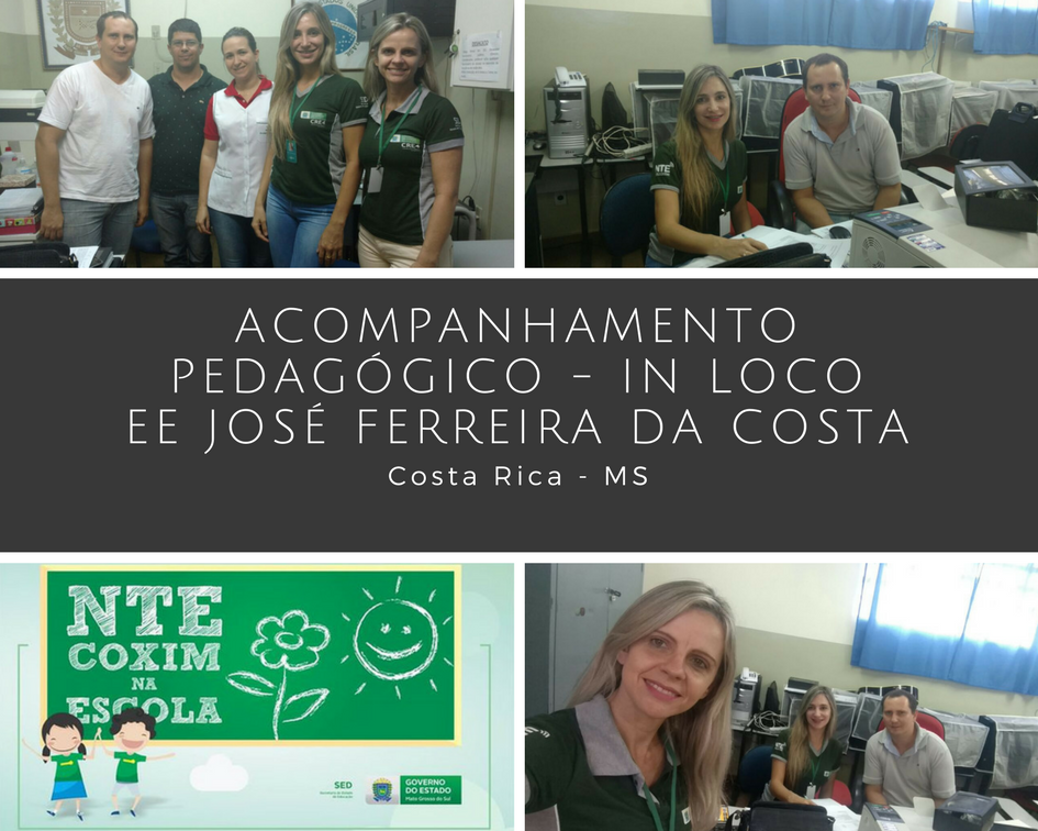 Acompanhamento Pedagógico - in loco