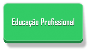 educação profissional.